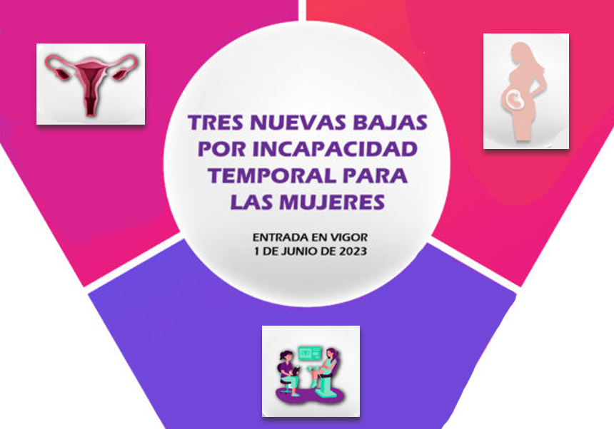 imatge de la noticia